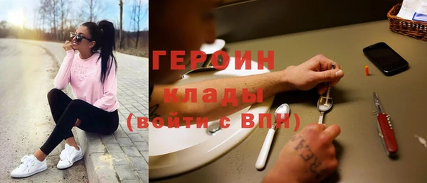 гашик Алексин