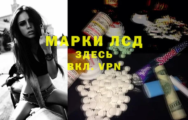 гашик Алексин