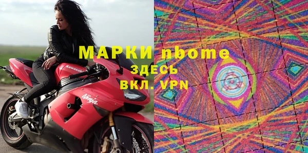 гашик Алексин