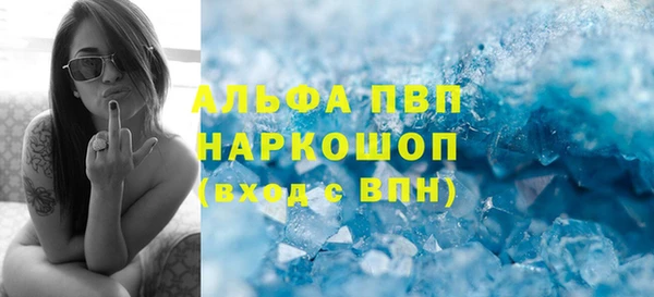 гашик Алексин